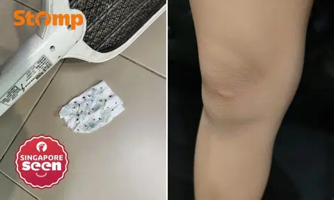 Yishun, Dover residents bugged by mozzie surge during Project Wolbachia, 1 kills '50 or more' in single encounter