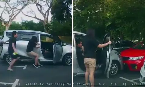 Car rolls out of parking lot into parked vehicle in S'pore Zoo: Woman tries to stop it with her bare hands