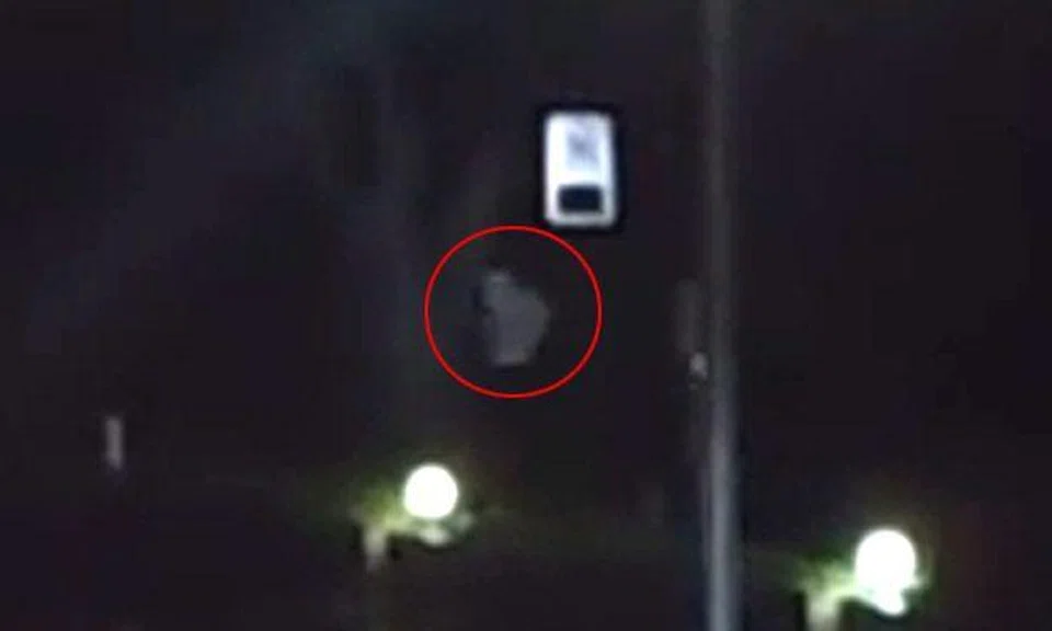 Pontianak? Creepy white figure lurks on tree at Sembawang Park