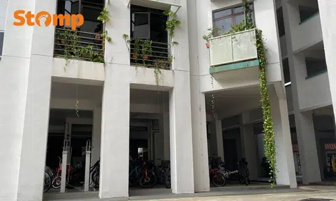 woodlands resident’s overgrown plant