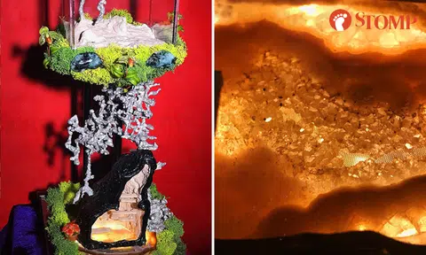 3 weeks, $2k and a lot of patience for Stomper to build ant nest for National Day