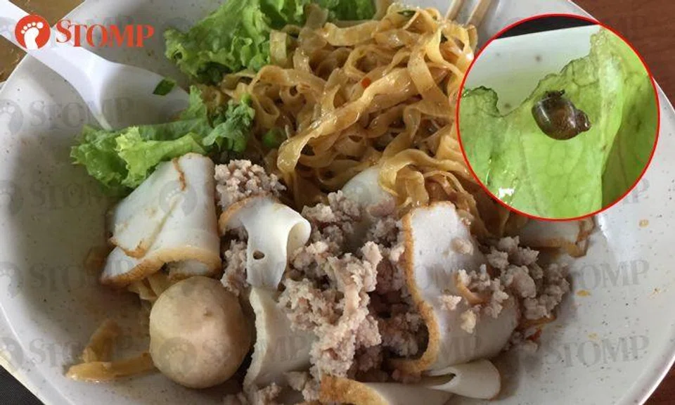 This is why you should focus on your food instead of phone when eating