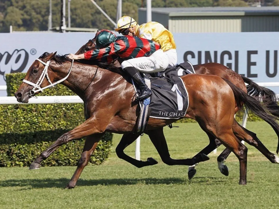 Lady Shenandoah (James McDonald) beating Lady Of Camelot (Tim Clark) in the Group 1 Surround Stakes at Randwick on March 1. The pair renew their rivalry in the Group 1 Coolmore Classic at Rosehill on March 15.PHOTO: SKY RACING WORLD

