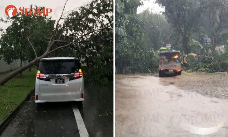 Fallen trees block motorists' way at TPE exit towards Yio Chu Kang and Punggol Rd