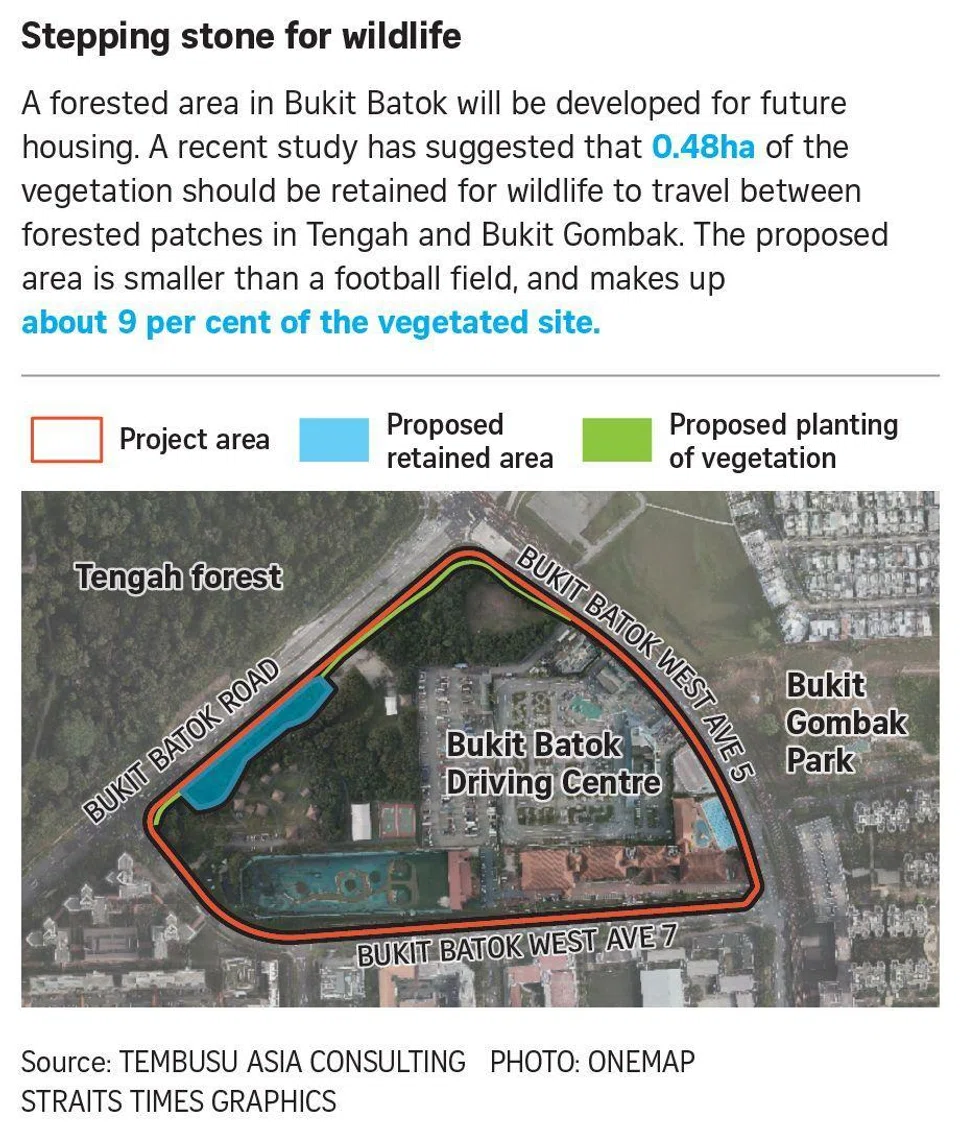 FILE PHOTO: The New Paper