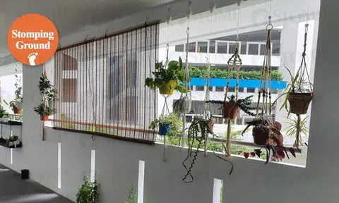 Should plants and blinds be allowed in HDB corridors? Better to be safe than sorry, says AMK resident