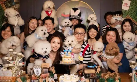 Rescued pup gets $6,000 birthday bash with 100 guests and cake made of meat at VivoCity