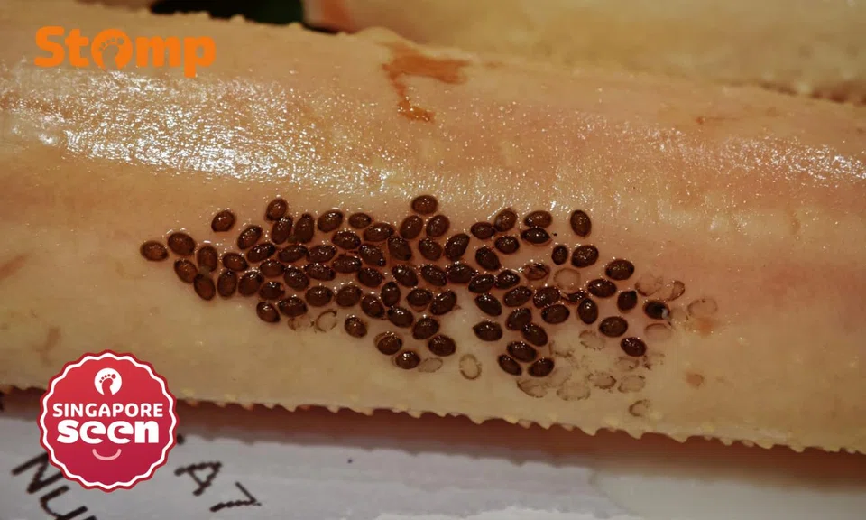 Would you dare to eat this?