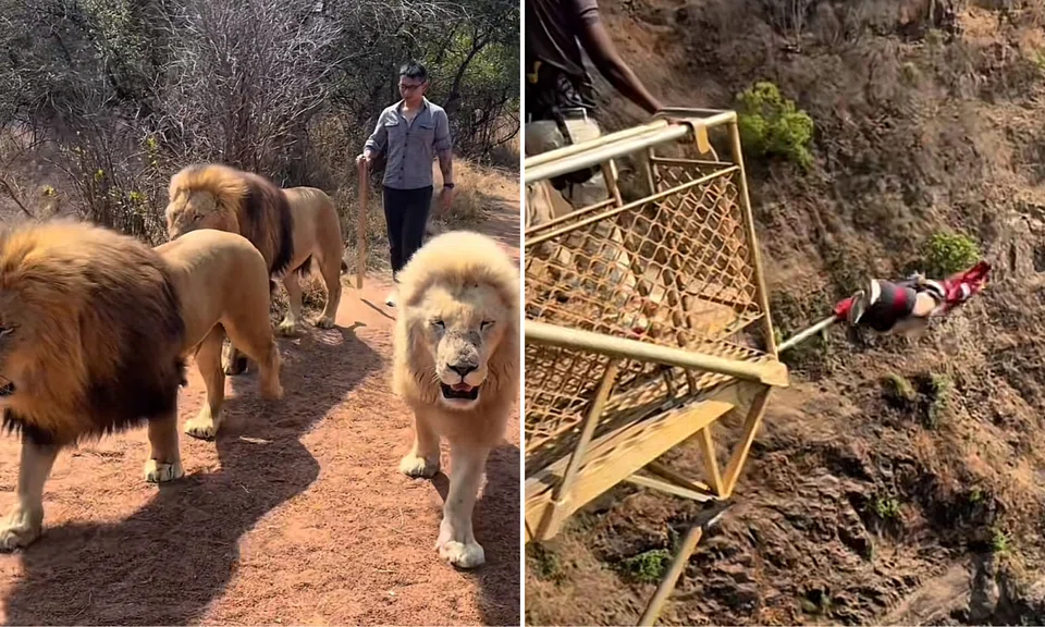 PHOTO: ERICLINGUINE/TIKTOK