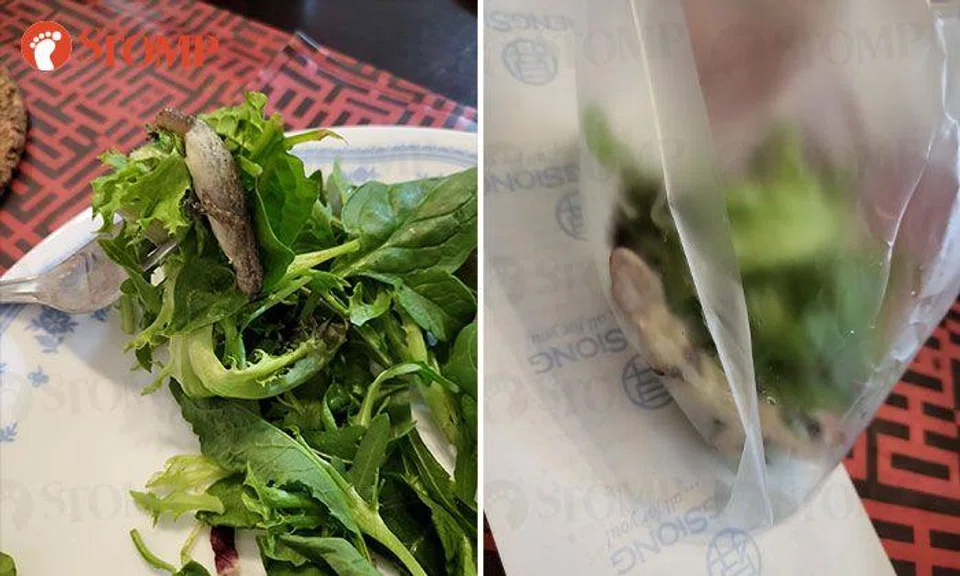 Woman finds dead lizard in ready-to-eat salad bought at Sheng Siong supermarket: SFA investigating