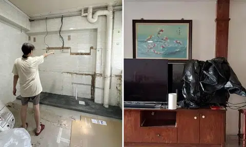 Woman suffers $8,000 in furniture damage caused by termites from outside Choa Chu Kang flat