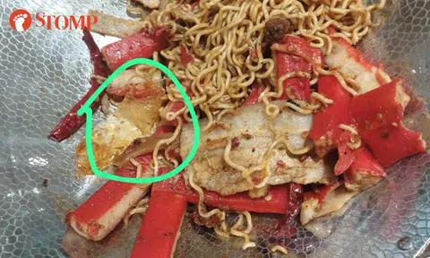 Diner finds plastic in mala from Food Republic stall: SFA detects safety lapses, taking action