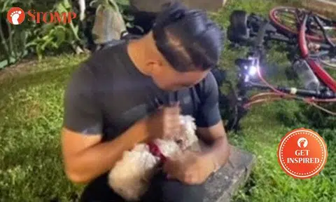 Man enters Siglap Canal to rescue dog moments before it filled up with water