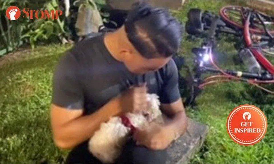 Man enters Siglap Canal to rescue dog moments before it filled up with water