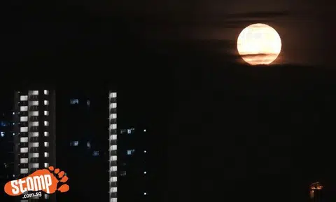 The Full Wolf Moon shone bright like a diamond in Woodlands while you were asleep