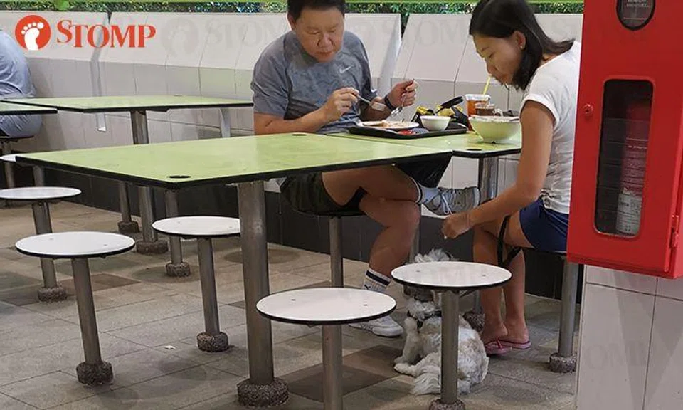Stomp finds out if pets are allowed in hawker centres