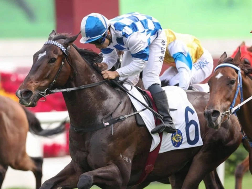 The Mark Newnham-trained Bravehearts (Matthew Poon) taking a Class 3 (2,000m) at Sha Tin on Nov 17. The Argentinian-bred, who races in the same colours as 2022 Singapore Gold Cup winner Hongkong Great, looks the goods in the Group 3 Queen Mother...