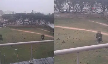 aljunied mrt crow culling operation
