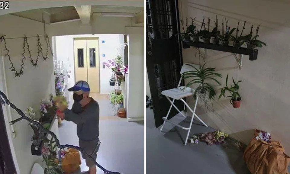Man ruins decorative flowers outside neighbour's unit days before Hari Raya