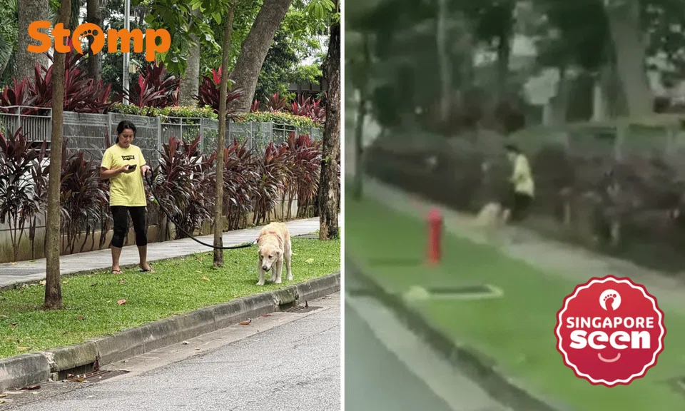 Woman confronted after kicking Golden Retriever during walk at Tanah Merah, shows 'no remorse'