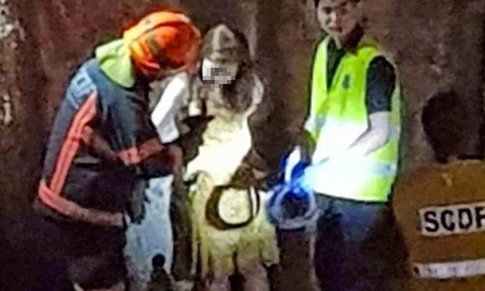 Couple injured after falling 4m into canal along Pioneer Rd