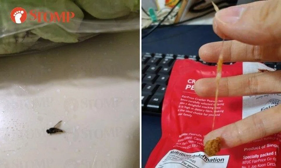 An insect was found in a salad and a piece of plastic was found in a packet of peanuts from FairPrice outlets in June.