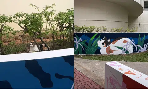 cat mural