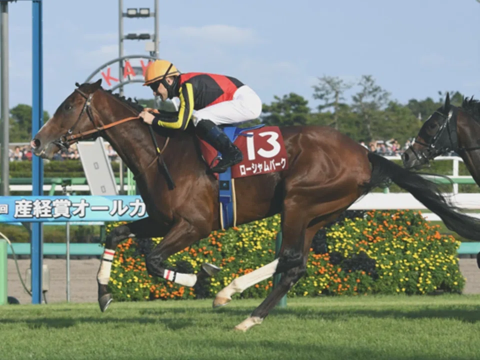 Rousham Park (Christophe Lemaire) posting the last of his six wins in the Grade 2 Sankei Sho (2,200m) at Nakayama on Sept 24, 2023. He contests the Group 1 Queen Elizabeth Stakes (2,000m) at Randwick on April 12.
