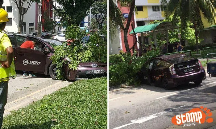 67-year-old man sent to hospital after crashes into tree at Toa Payoh ...