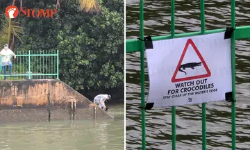 Men hang out near waters off Yishun Dam despite warning sign and recent crocodile sighting