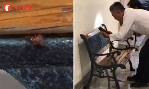 Raffles Hospital removes public benches after Stomper gets bitten by bugs