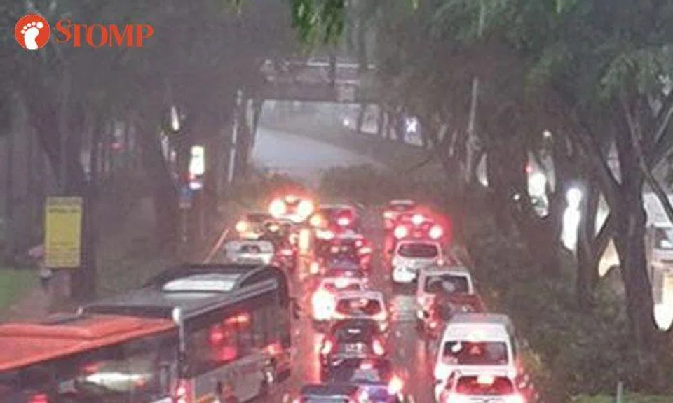 Fallen tree branches block traffic along Beach Road