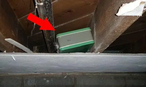 Photos and captions: branik12 / Imgur