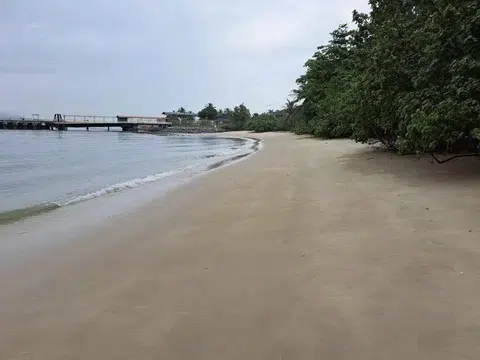 The oil spill occurred on April 3 near the mouth of Johor river.