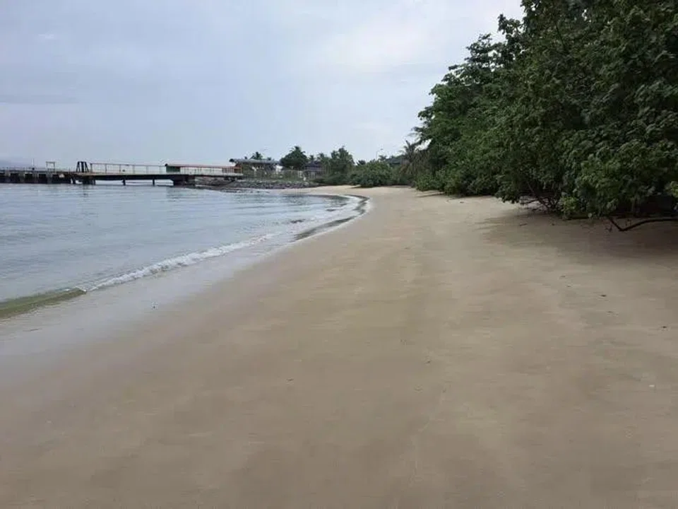 The oil spill occurred on April 3 near the mouth of Johor river.