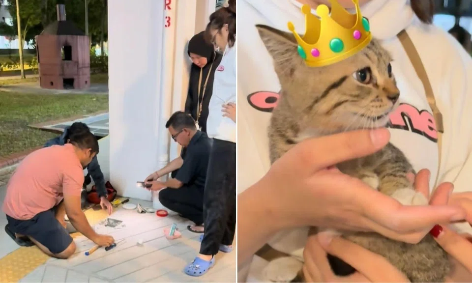 The rescue ended with the kitten safely reunited with its owner after being stuck since the morning.