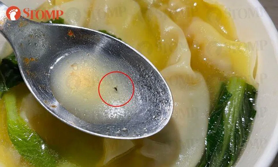 Woman wants refund for fly in soup, GrabFood says no as she has too many compensation requests