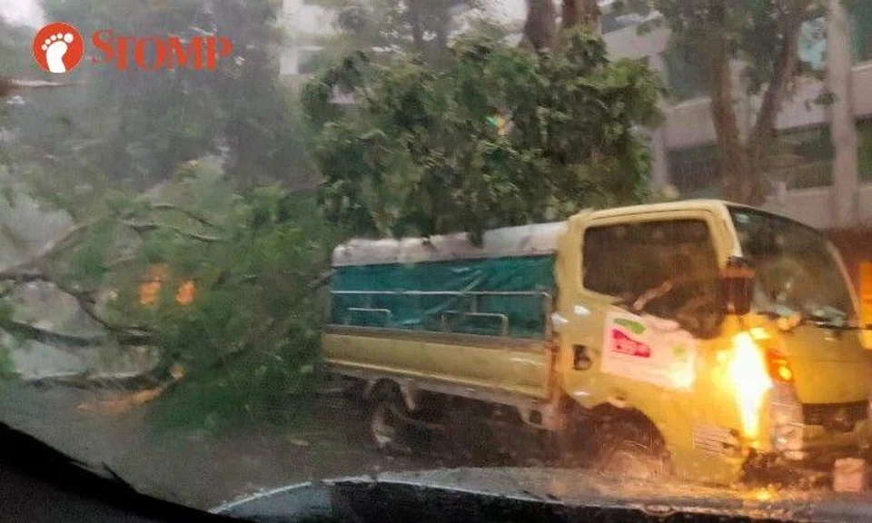 The tree was blocking the road between Kitchener Complex and BH Building.