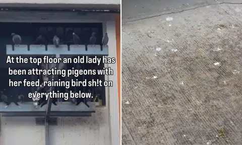 The clip showed at least 15 pigeons gathered outside one unit, and plenty of bird droppings on the ground floor.