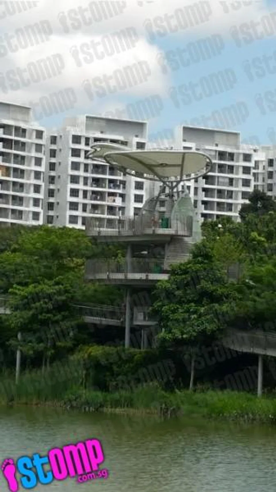 When you see it: Nude guy spotted on bridge at Yishun Pond