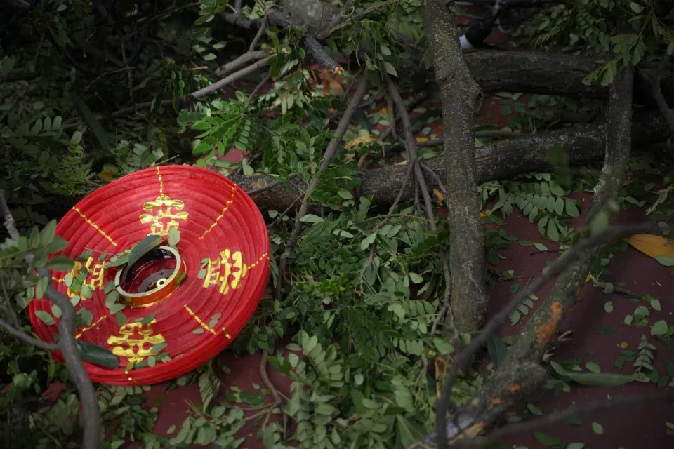 A flattened lantern among parts of the fallen tree along Pipit Road. ST PHOTO: MARK CHEONG