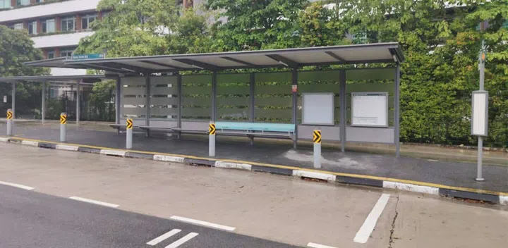 Birds found dead after colliding into glass panels at Dairy Farm bus ...