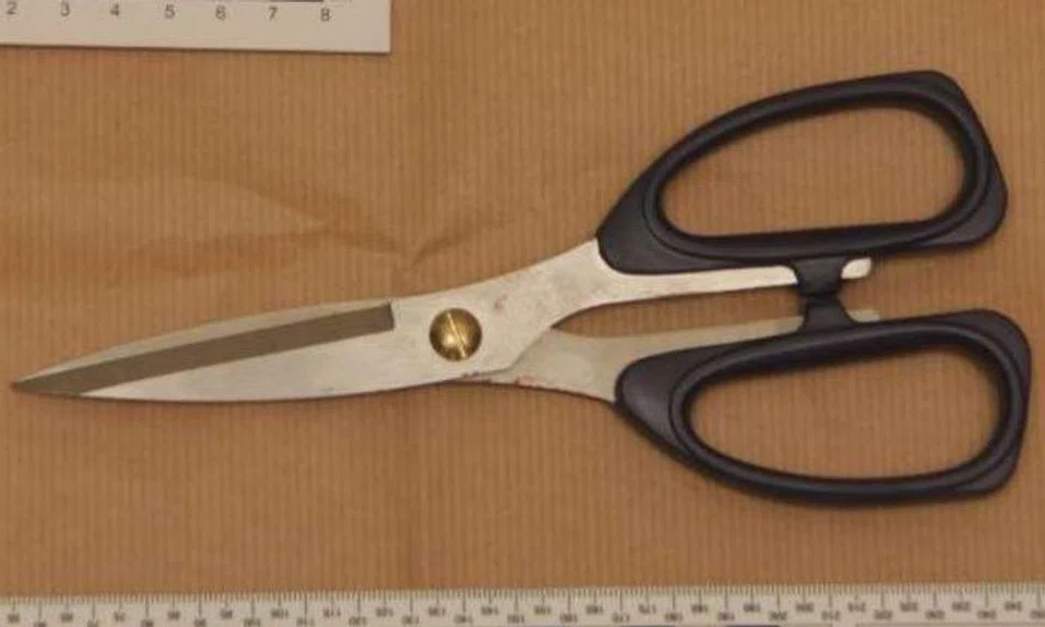 A pair of scissors which was purportedly used during the incident was seized.