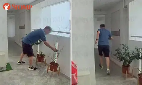 Fernvale resident upset after man plucks leaves from pomegranate plant that is 'already going botak'