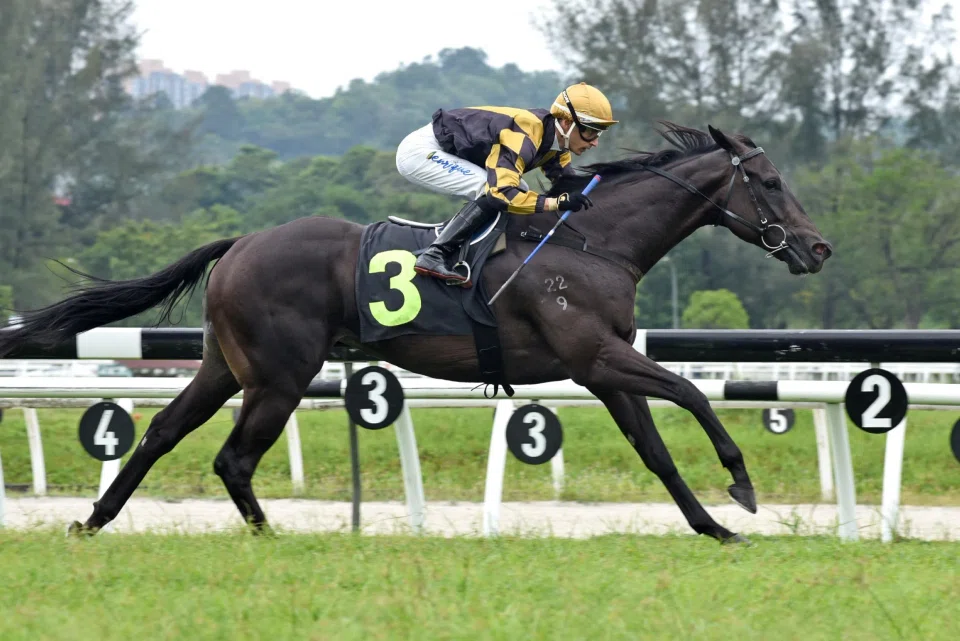 Bransom (Carlos Henrique) taking out the Class 3 event (1,020m).