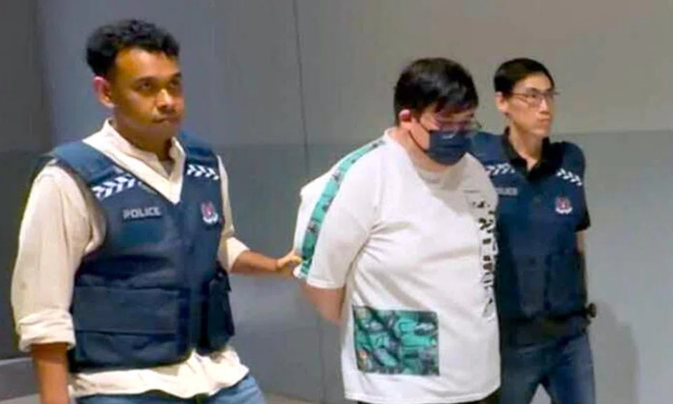 Tan Kian Hoa was detained in Malaysia on July 20 and was handed over to the Singapore Police Force the next day.