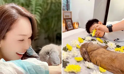 Fann Wong and family mourn death of pet rabbit