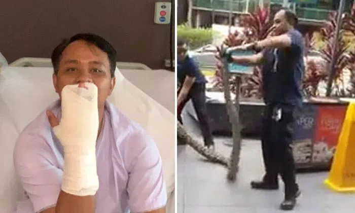Man who got bitten by python at Scotts Road recovering after surgery to ...