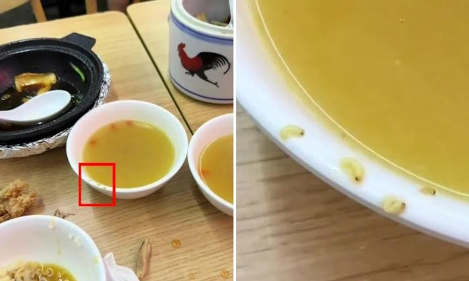 Maggots found in soup
