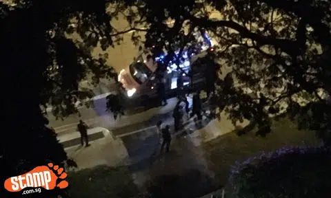 Fight breaks out in wee hours of the morning outside The Pearl @ Mount Faber